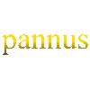 PANNUS