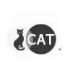 CAT TECHNOLOGIES LTD