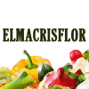 ELMACRISFLOR S.R.L