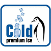 COLD ICE FACTORY